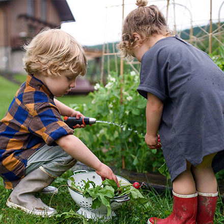 How gardening can save money and improve your health